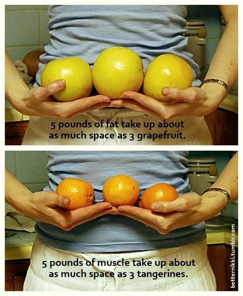 One Pound Of Fat Versus One Pound Of Muscle Clearing Up The