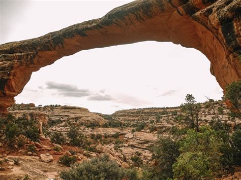 Natural Bridges Monument Park Living With The Wolf