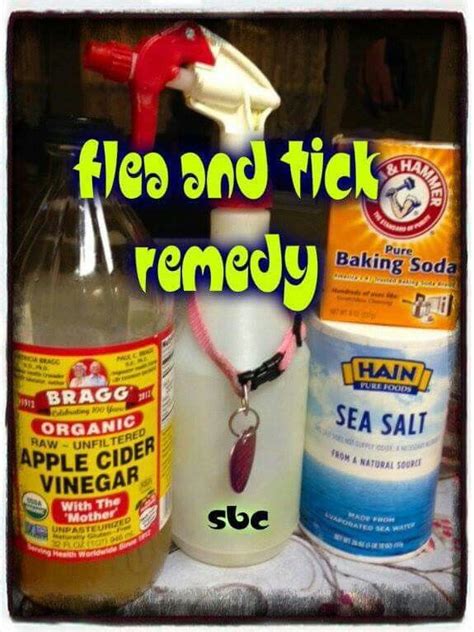 For Pets Flea And Tick Removal Ticks Remedies Flea Remedies Flea