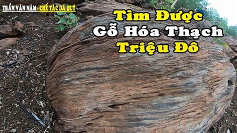9 hours ago · trung ương đảng cách chức bí thư tỉnh uỷ bình dương trần văn nam. Vào Rừng Gặp Cây Gỗ Hóa Thạch KHỔNG LỒ, Sản Vật Triệu Đô ...