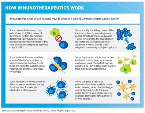 Recognizing Cancer Immunotherapy Month American Association For