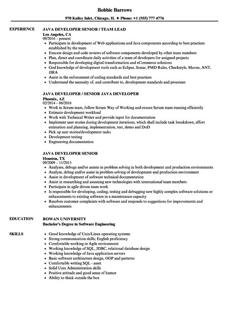 Angular, javascript, ruby on rails, software, software development, structured query language, html, css. Java Microservices Sample Resume - Paycheck Stubs