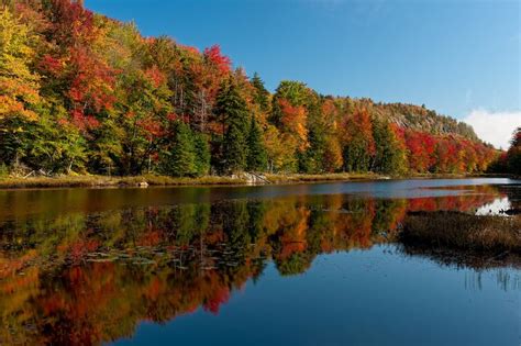 Some Fall Foliage In Old Forge Ny The Leaf Peeping Is Great This Time