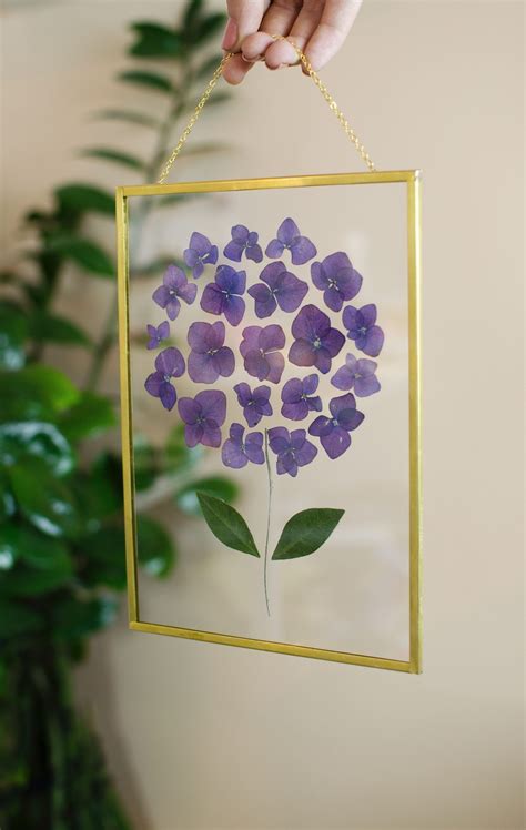Pressed flower frame#flower #frame #pressed | Pressed ...
