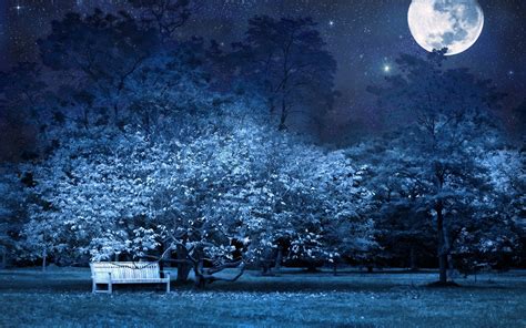 Night Bench Park Trees Stars Full Moon Sky Light