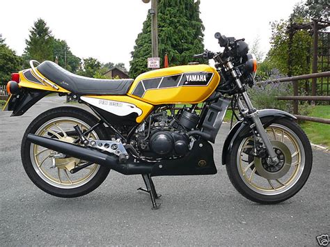 Kenny roberts was 500cc world champion in 1978, 1979 and 1980. sports player star: Kenny Roberts American former ...
