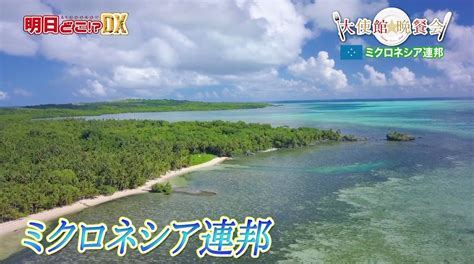実は日本と深いつながりが美しい海と森が広がるミクロネシア連邦を紹介！｜tokyo Mx （プラス）