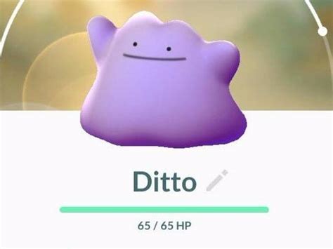 Cómo Atrapar A Ditto En Pokémon Go Kartal 24
