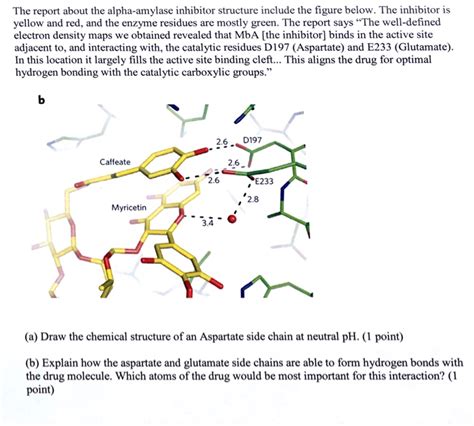 Solved The Report About The Alpha Amylase Inhibitor