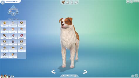 The Sims 4 Cats And Dogs Create A Pet 101