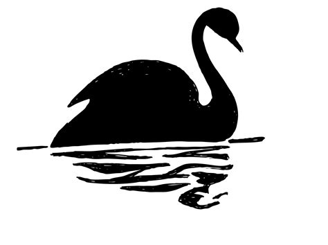 Clipart Black Swan Silhouette