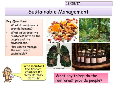 Sustainable Rainforest Management Teaching Resources