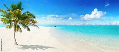 Beautiful Palm Tree On Tropical Island Beach On Background Blue Sky