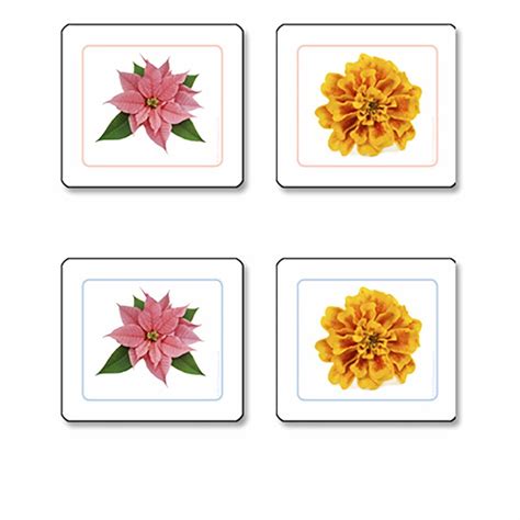 Flowers Matching Cards Nienhuis Montessori