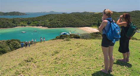Adventure Discover And Relax In The Bay Of Islands New Zealand