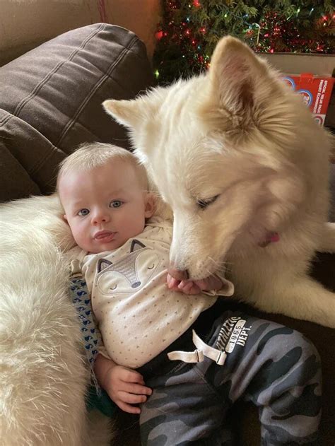 This Wolfie Loves Her 5 Month Old Pup More Than Shes Ever Loved