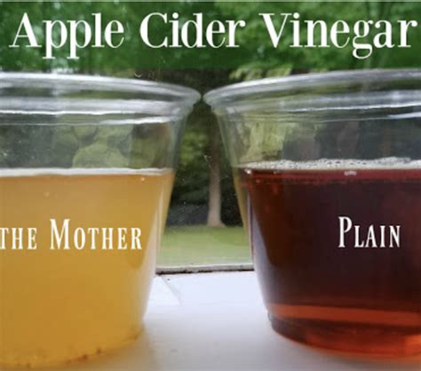 What Is Apple Cider Vinegar With The Mother Happy Days Farm