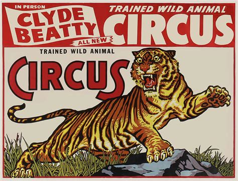 Clyde Beatty Circus Tiger C 1950 Digital Art By Daniel Hagerman