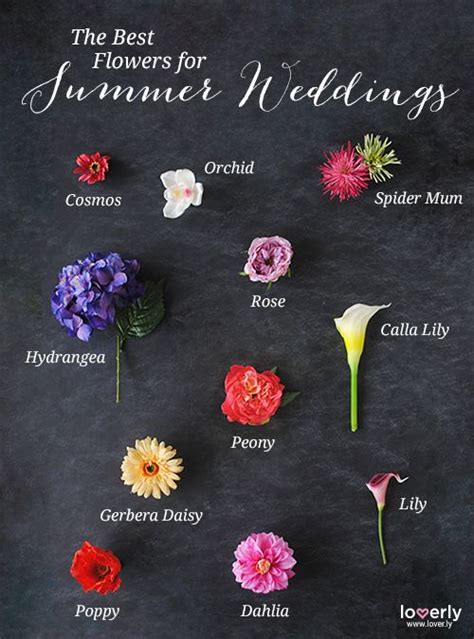 Each type of flower has a season when it's readily available. Summer Wedding Flowers | Loverly | Wedding Planning Made ...