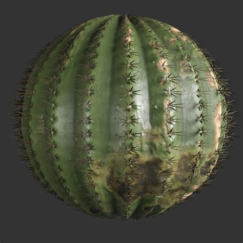 Spiky Cactus With Spines Texture Free Pbr Texturecan