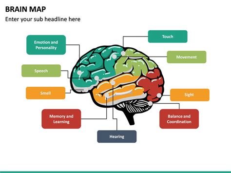 The Brain Map Ppt Powerpoint Drawing Diagrams Templates Images Images