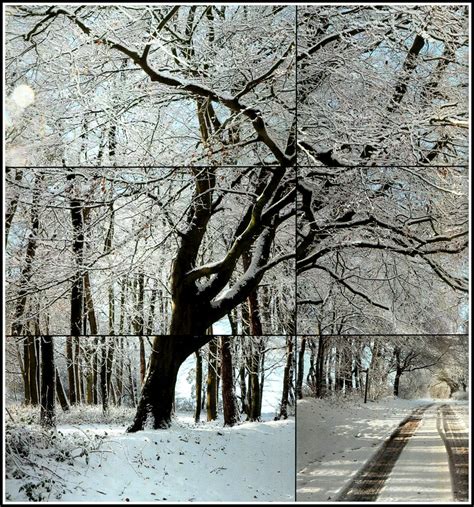 David Hockney The Four Seasons Woldgate Woods Winter 2 Flickr