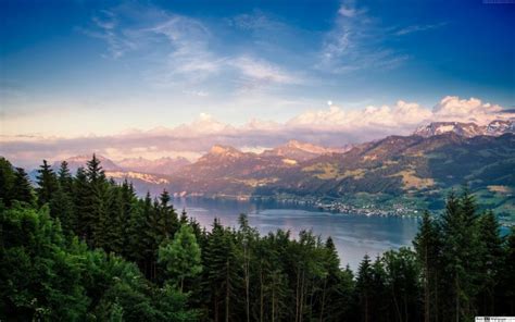 Lake Lucerne Beautiful View In Switzerland Country Switzerland 4k