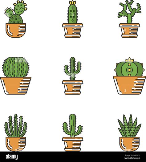Cactuses In Pots Color Icons Set Mexican Tropical Flora Succulents
