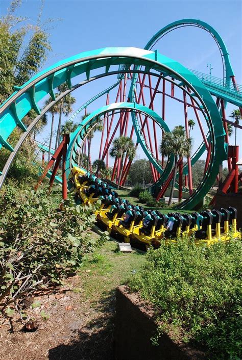 Busch gardens focused progressively on its tropical landscape, exotic animals, and amusements in 2004, the park's family friendly cheetah chase roller coaster opened up, replacing the crazy camel flat ride. Kumba, Tampa (With images) | Theme parks rides, Busch ...