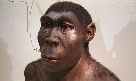 Homo Erectus Hunting