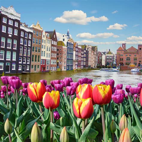 100 Amsterdam Spring Wallpapers