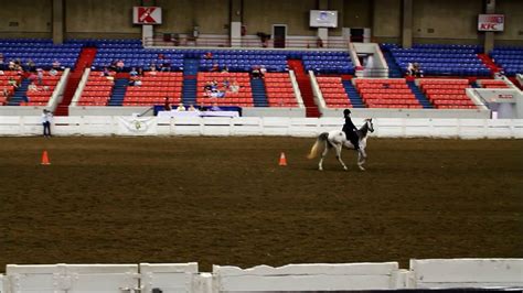 Equitation Kentucky State 4 H Horse Show Louisville Youtube