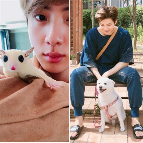 Bts Members Love Their Pets And Post Cute Dog Photos To Instagram Just