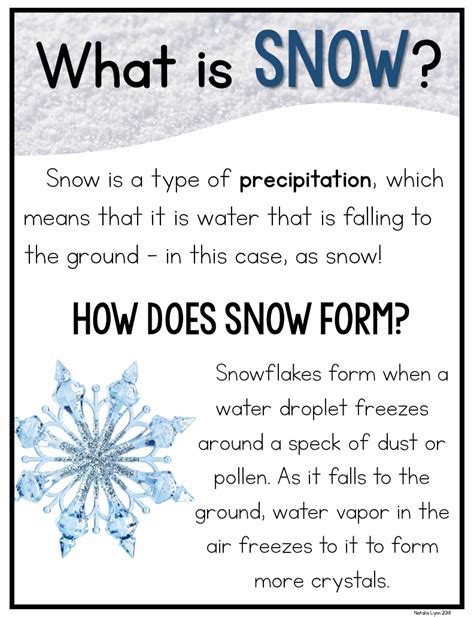 The Science Of Snowflakes Worksheet