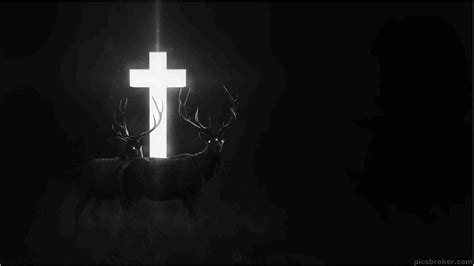 Deers Are Standing Near White Cross In A Black Background Hd Cross