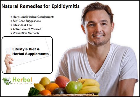 Natural Remedies For Epididymitis Herbal Treatment For Epididymitis
