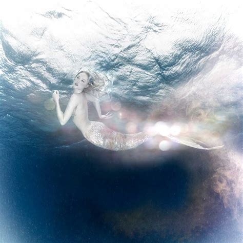 Underwater Photography Of Mermaids Swimming In The Ocean And Seahorses