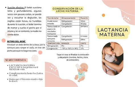 folleto lactancia materna lactancia materna se recomienda lactancia materna exclusiva los