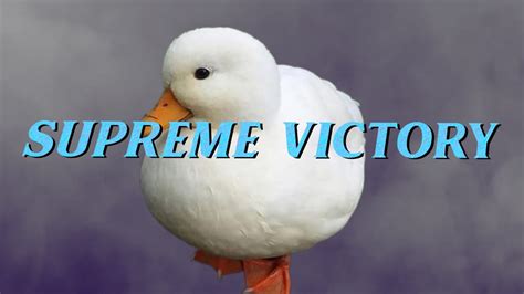 Supreme Victory Youtube