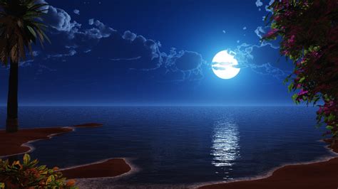 Download 3840x2400 Tropical Beach Coast Full Moon Night Sky