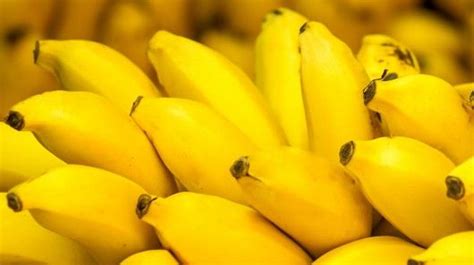 Human Trials Planned For Genetically Modified Super Bananas Banana