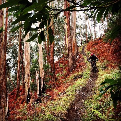 Madeira Portugal Freeride Mountain Bike Mountain Bike Trails