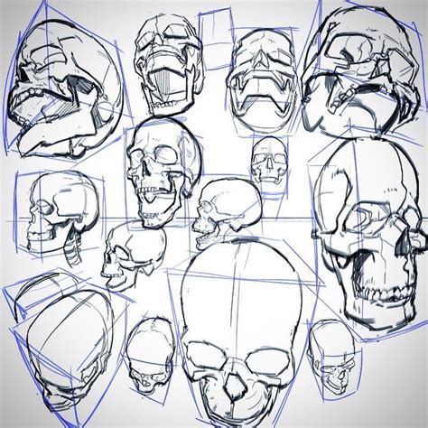 Image Result For Skull Perspective Drawing Anatomy Sketches Anatomy