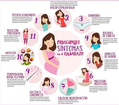 Flujo Primeros Dias Embarazo Antes Primera Falta - sintomas-embarazo_opt - Farmacia Torrent Andorra