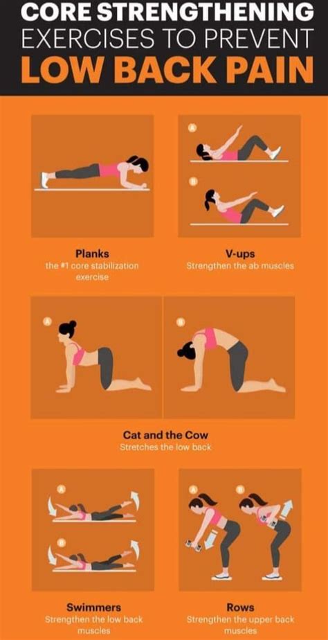 Top 5 Core Strengthening Exercises Back Pain Exercises Lower Back Pain Exercises Back Exercises