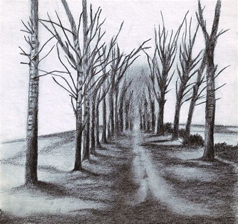 Sketch Of Trees Along A Road Perspective Landscape Drawings