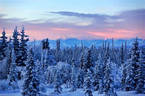 Good Morning From Alaska By Jls Photography