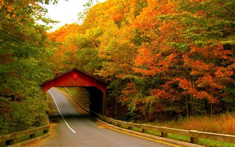 Covered Bridge In Autumn