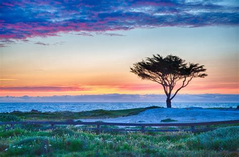 Top 5 Places To Walk On The Monterey Peninsula Tim Allen Properties