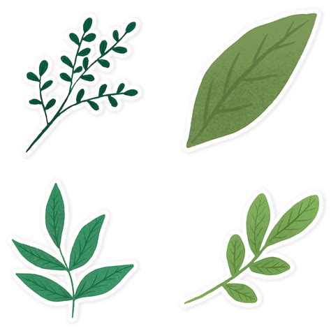 Green Leaf Sticker Png Royalty Free Stock Transparent Png 2030593